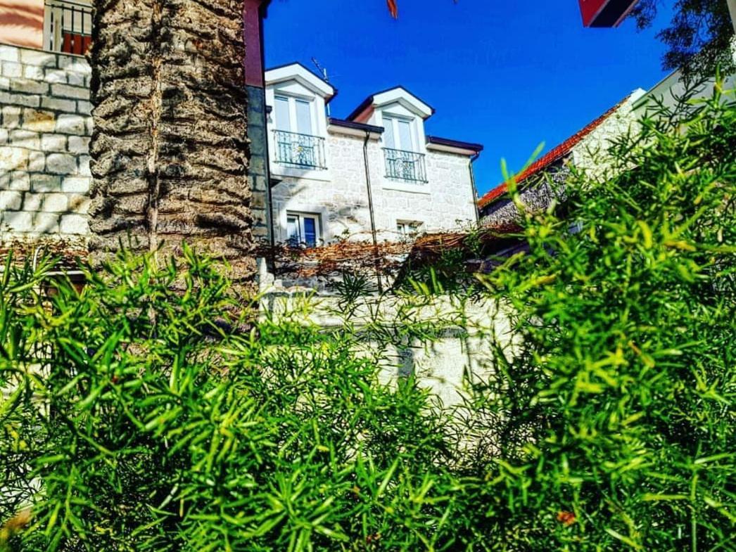 Apartmani Marina Gradac Gradac  Exterior photo